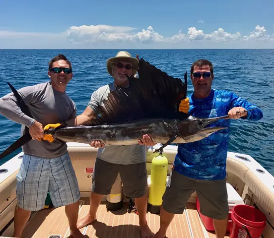 septic company Kissimmee FL